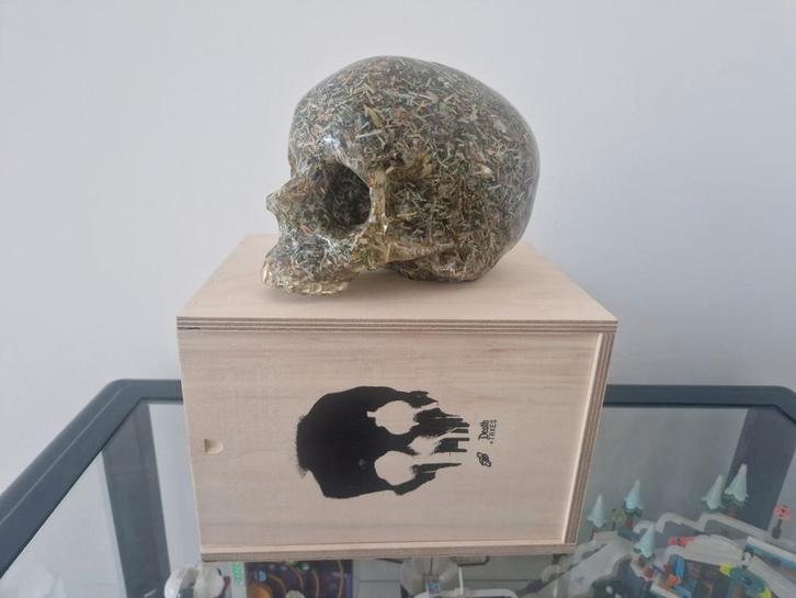 Imbue artist Death and Taxes Skull schedel, Antiek en Kunst, Kunst | Designobjecten, Ophalen