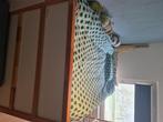 Kura kinderbed + Matras (Ikea), Ophalen, 85 tot 100 cm, Gebruikt, Hoogslaper of Stapelbed