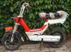 Citta Gilera brommer, Ophalen, Gebruikt, Gilera citta