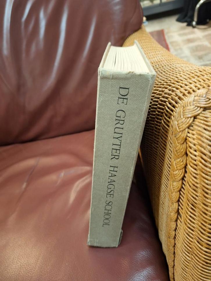 Boek: De Haagse School, Boeken, Kunst en Cultuur | Beeldend, Ophalen of Verzenden