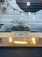Design glazen vaas ovaal, Ophalen, Overige kleuren, Nieuw, Glas