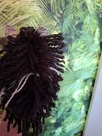 Leuk hobbyhorse veulen, Ophalen of Verzenden, Nieuw