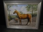 schilderij, Antiek en Kunst, Kunst | Schilderijen | Klassiek, Ophalen of Verzenden