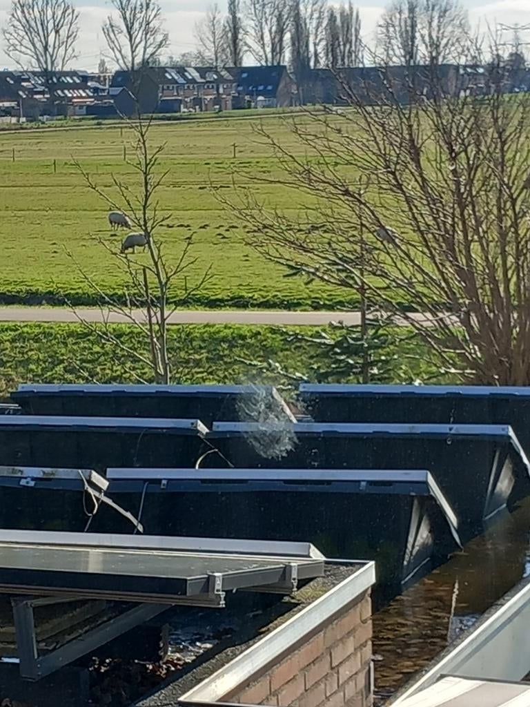 Zonnepanelen set 8 st inclzwarte bakken en philips omvormer