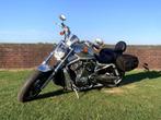 Harley Davidson V-Rod VRSCA Anniversary 2003, Motoren, Motoren | Harley-Davidson, 2 cilinders, Chopper, Particulier, Meer dan 35 kW