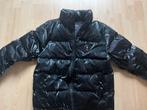 Trapstar jas winter, Ophalen of Verzenden, Zo goed als nieuw, Zwart