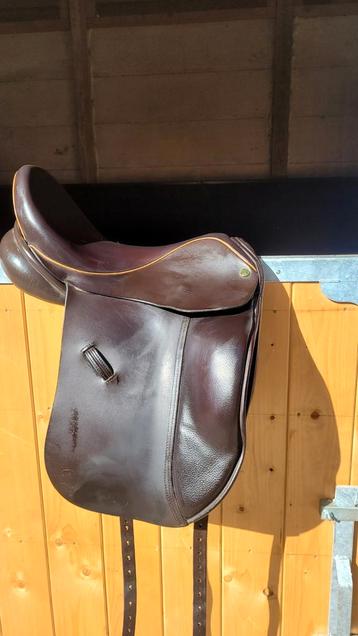 Ideal Suzannah zadel dressuur 17,5 inch beschikbaar voor biedingen