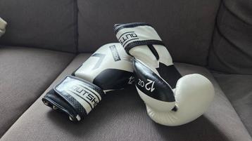 Bokshandschoenen beschikbaar voor biedingen
