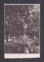 Suriname Paramaribo Steenbakkersgracht Tamarinden., Ophalen of Verzenden, Voor 1920, Ongelopen, Buiten Europa