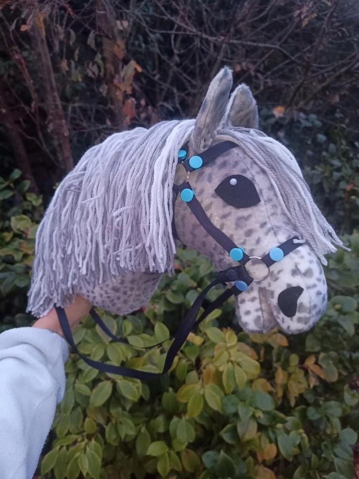 Hobbyhorse schimmel, Hobby en Vrije tijd, Overige Hobby en Vrije tijd, Nieuw, Ophalen of Verzenden
