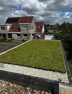 Sedum cassettes voor groendak zelf maken, Ophalen of Verzenden, Zomer, Volle zon
