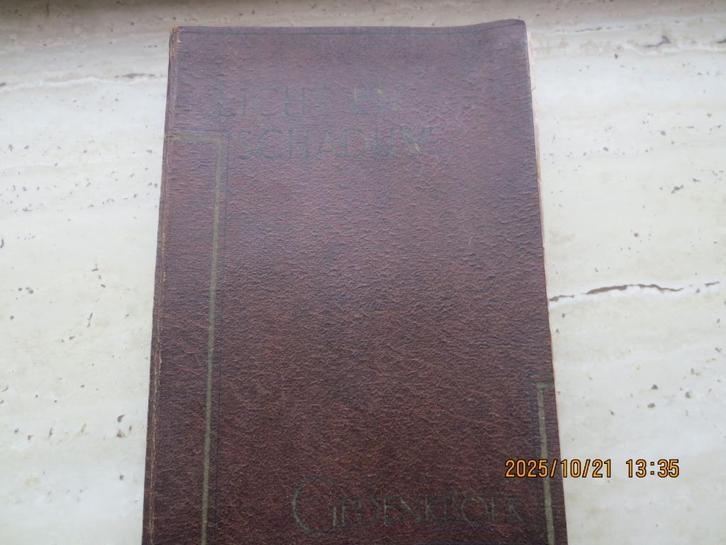 Gedenkboek "Licht en Schaduw" Haarlem - Heemstede 1882-1932, Boeken, Geschiedenis | Stad en Regio, Gelezen, 19e eeuw, Ophalen of Verzenden