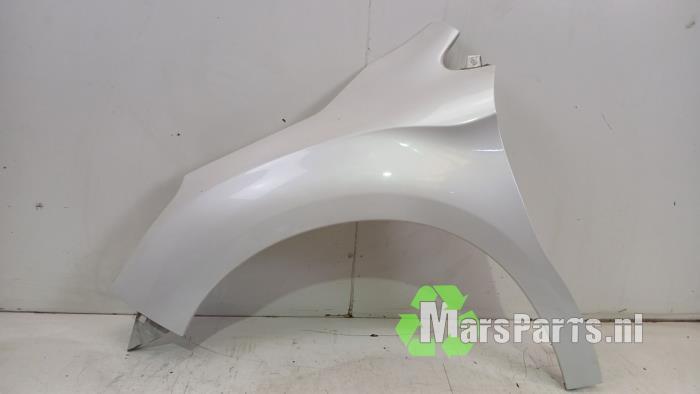 Scherm links-voor van een Citroen DS4, Auto-onderdelen, Carrosserie en Plaatwerk, Citroën, Gebruikt, 3 maanden garantie, Ophalen of Verzenden