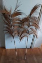 Decoratieve pluimen, Ophalen, Gebruikt, Binnen