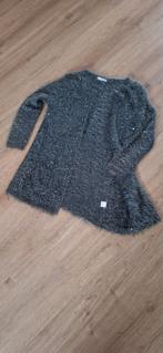 Vest met glimmertje, Ophalen of Verzenden, Gedragen, Grijs