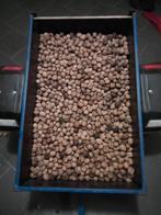 Walnoten Nergens goed koper, Diversen, Ophalen of Verzenden