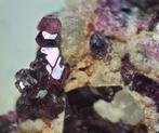 Fluor-Liddicoatiet, Manandoniet (tl) - Madagascar, Ophalen of Verzenden, Mineraal