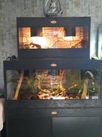 Osb3 terrarium RepHouSZ. Ook maatwerk, Ophalen