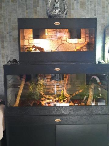 Osb3 terrarium RepHouSZ. Ook maatwerk  beschikbaar voor biedingen