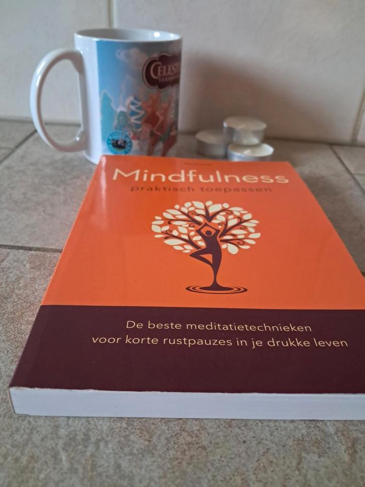 Mindfulness: Praktisch Toepassen - David Harp, Boeken, Esoterie en Spiritualiteit, Zo goed als nieuw, Achtergrond en Informatie