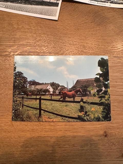 BEMMEL, STOETERIJ BUITENZORG, Ophalen of Verzenden, 1960 tot 1980, Ongelopen, Gelderland