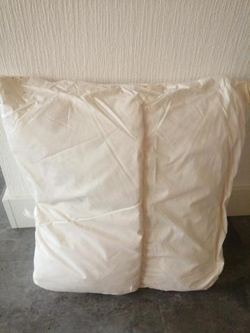 Groot Nieuw Veren Dons Kussen binnenkussen beschikbaar voor biedingen