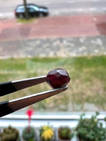 Granaten uit Spanje - 4 gram per container beschikbaar voor biedingen