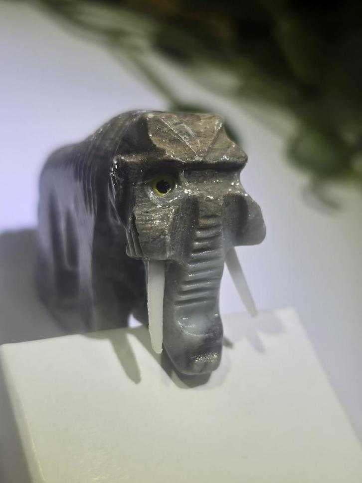 Olifant steen Dordogne (3x3.5cm), Verzamelen, Mineralen en Fossielen, Mineraal, Ophalen of Verzenden