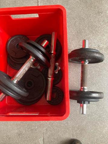3 dumbbells gewichten beschikbaar voor biedingen