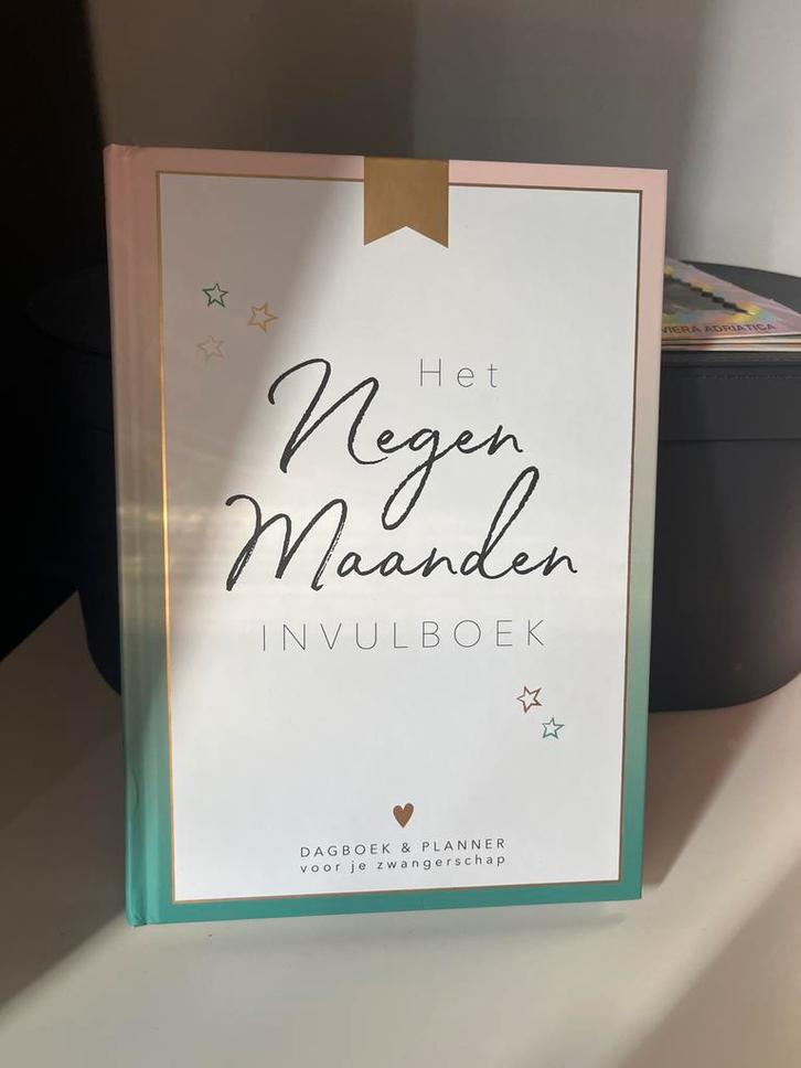 Eva Reinders - Het negen maanden invulboek, Boeken, Zwangerschap en Opvoeding, Zo goed als nieuw, Zwangerschap en Bevalling, Ophalen of Verzenden