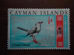 Vogel Cayman 1969, mi. 211 postfris/ongebruikt, Postzegels en Munten, Postzegels | Thematische zegels, Ophalen of Verzenden, Postfris