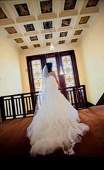 Een prachtige Pronovias trouwjurk met sleep (excl sluier), Kleding | Dames, Trouwkleding en Trouwaccessoires, Ophalen, Trouwjurk