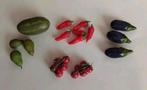 DIV. GROENTE/FRUIT VOOR POPPENHUIS 1:12, Ophalen of Verzenden, Nieuw, Poppenhuis