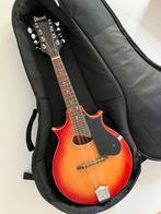 Ibanez mandoline, Muziek en Instrumenten, Snaarinstrumenten | Mandolines, Ophalen, Gebruikt
