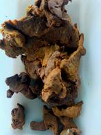 Propolis, Dieren en Toebehoren, Insecten en Spinnen, Bijen