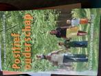 C. Muijsert-van Blitterswijk - Positief ouderschap, Achtergrond en Informatie, Ophalen of Verzenden, Zo goed als nieuw, C. Muijsert-van Blitterswijk
