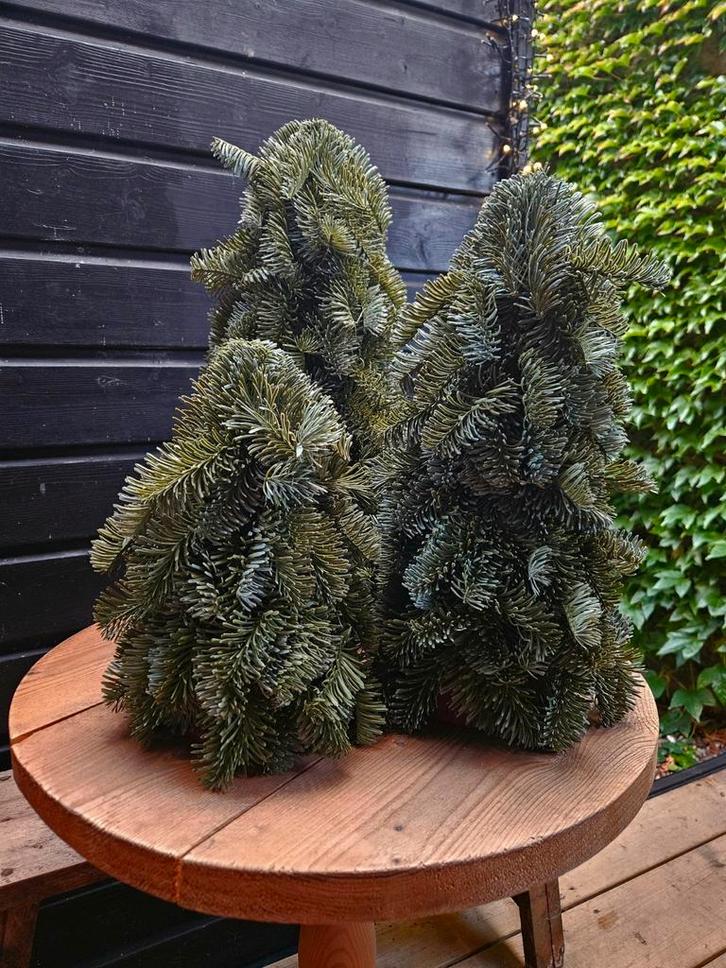 Nobelisboompjes kunst, Diversen, Kerst, Nieuw, Ophalen of Verzenden