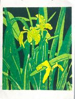 Lino “Lissen”, Ophalen of Verzenden