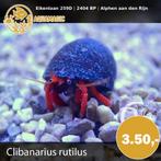 heremiet kreeft, Kreeft, Krab of Garnaal, Zoutwatervis