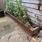 Stalen balk / H-balk / ligger, Ophalen, Gebruikt, 180 tot 250 cm, Palen
