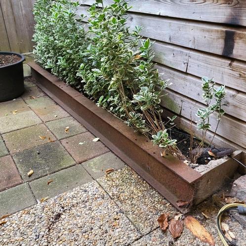 Stalen balk / H-balk / ligger, Tuin en Terras, Palen, Balken en Planken, Gebruikt, Palen, 180 tot 250 cm, Ophalen