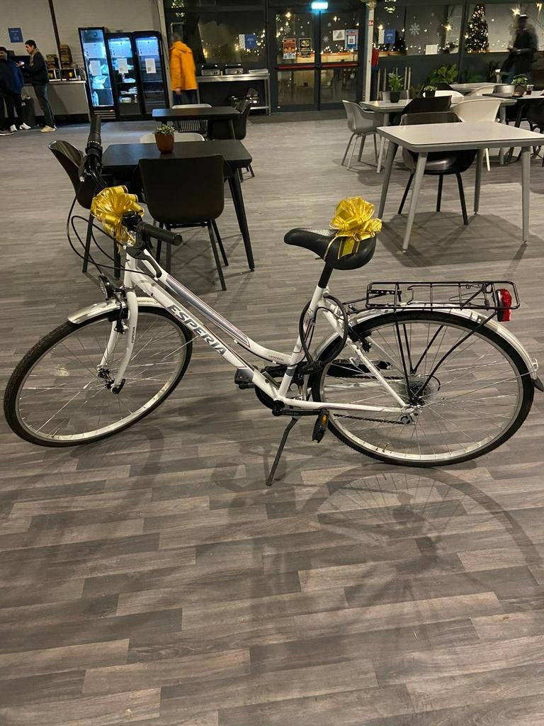 ESPERIA Stadsfiets - Bijna Nieuw!, Fietsen en Brommers, Ophalen, Zo goed als nieuw, Overige merken, Versnellingen