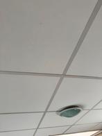 Systeemplafond platen. 15 stuks. Zelf schoonmaken., Doe-het-zelf en Verbouw, Ophalen, Gebruikt, Overige materialen, Minder dan 20 mm