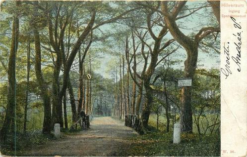 (381-253-035) Hilversum Spanderswoud, Verzamelen, Ansichtkaarten | Nederland, Noord-Holland, Verzenden