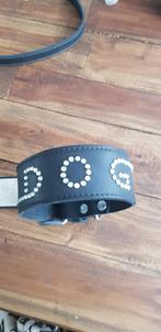 Supermooie nieuwe hondenhalsband met studs, Dieren en Toebehoren, Ophalen of Verzenden, Nieuw