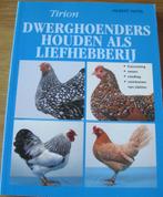 Hilbert Pater - Dwerghoenders houden als liefhebberij, Boeken, Dieren en Huisdieren, Pluimvee, Ophalen of Verzenden, Zo goed als nieuw