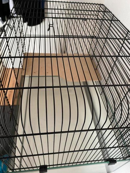 Zeer nette hamster kooi !, Dieren en Toebehoren, Vogels | Hokken en Kooien, Zo goed als nieuw, Overige typen, Overige materialen