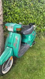 Peugeot rapido 70cc, Ophalen, Overige modellen