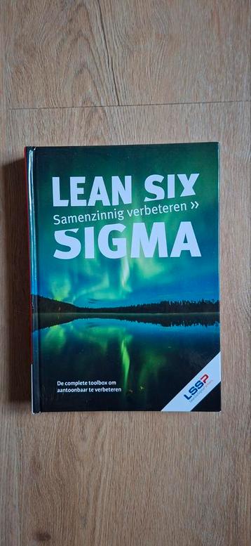 Lean Six Sigma Boek - Nederlands - Goede Staat beschikbaar voor biedingen