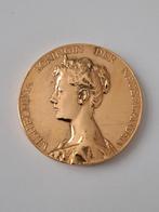Inhuldigingsmedaille penning 1898 verguld Wilhelmina, Verzamelen, Ophalen of Verzenden, Nederland